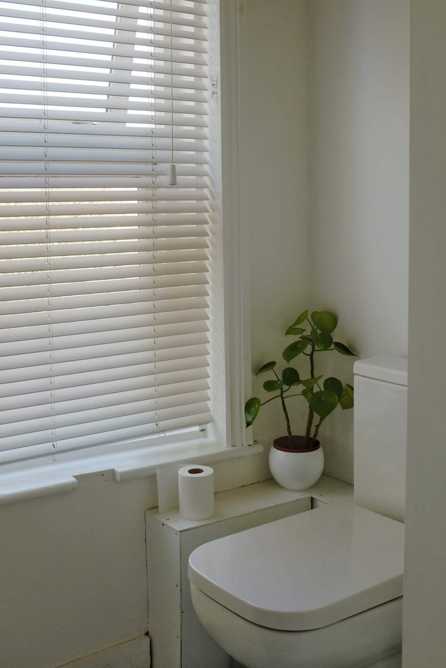 Cosy Flat on Beautiful Historic City Centre Street