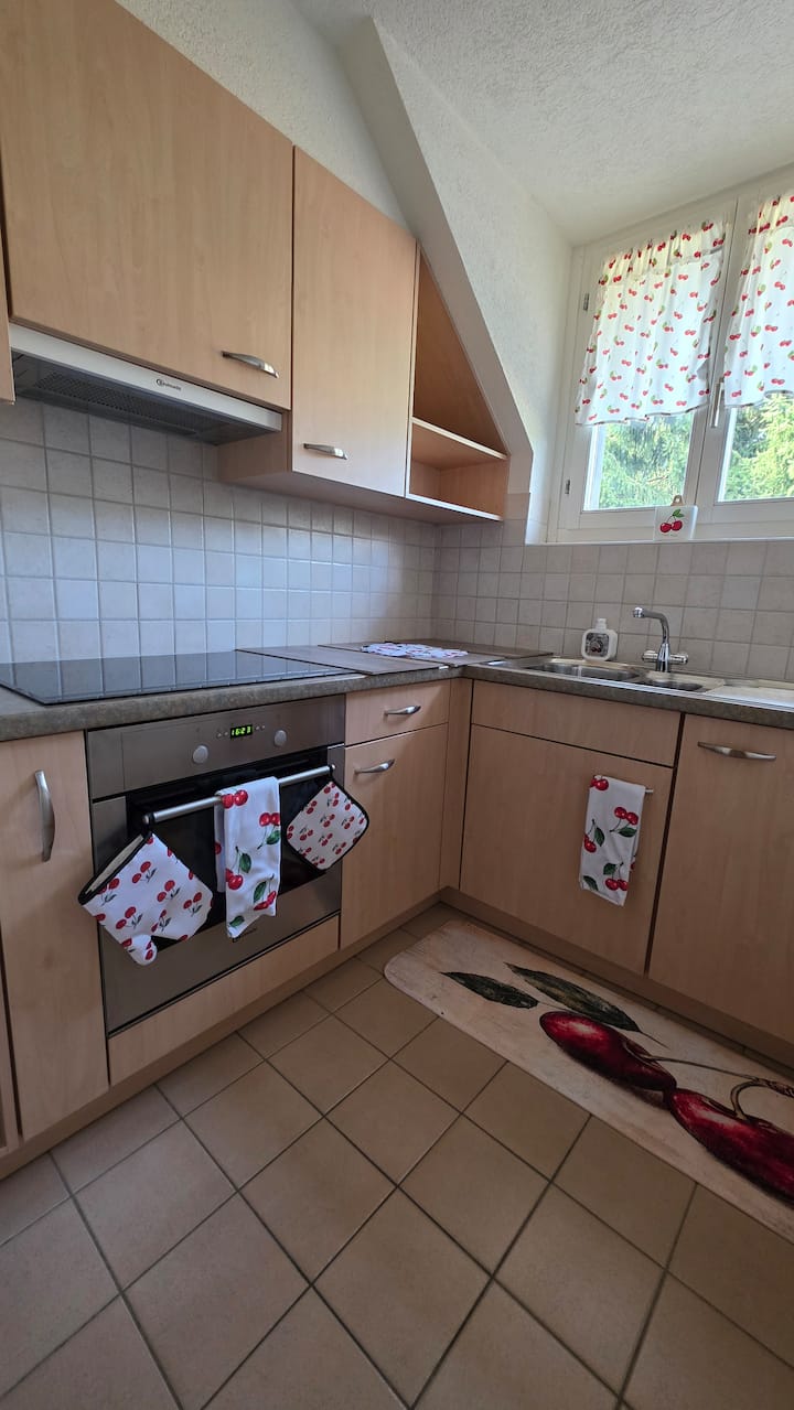 Appartement Agréable, Prêt à Vous Accueillir. - Vevey