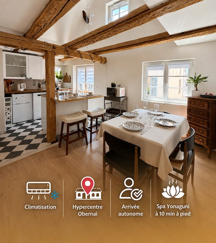 Le Duplex Du Beffroi - Obernai
