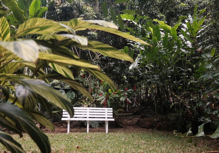 Le Jardin Des Goyaves - Saint Joseph