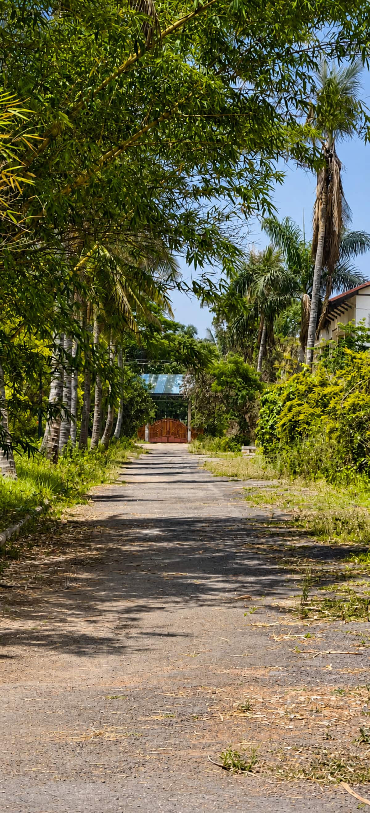 Exterior image 9