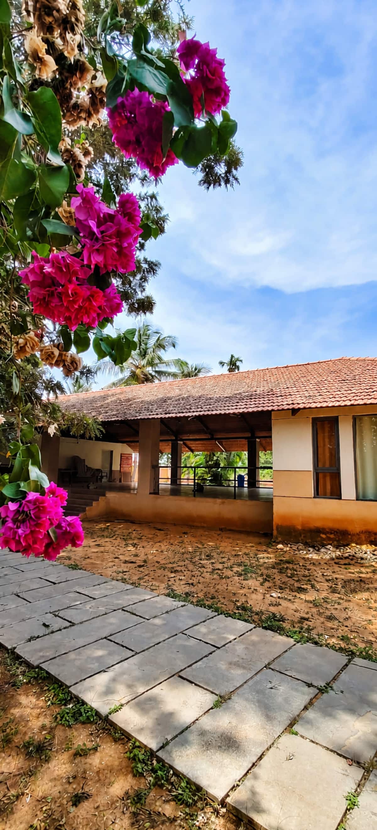 Exterior image 12