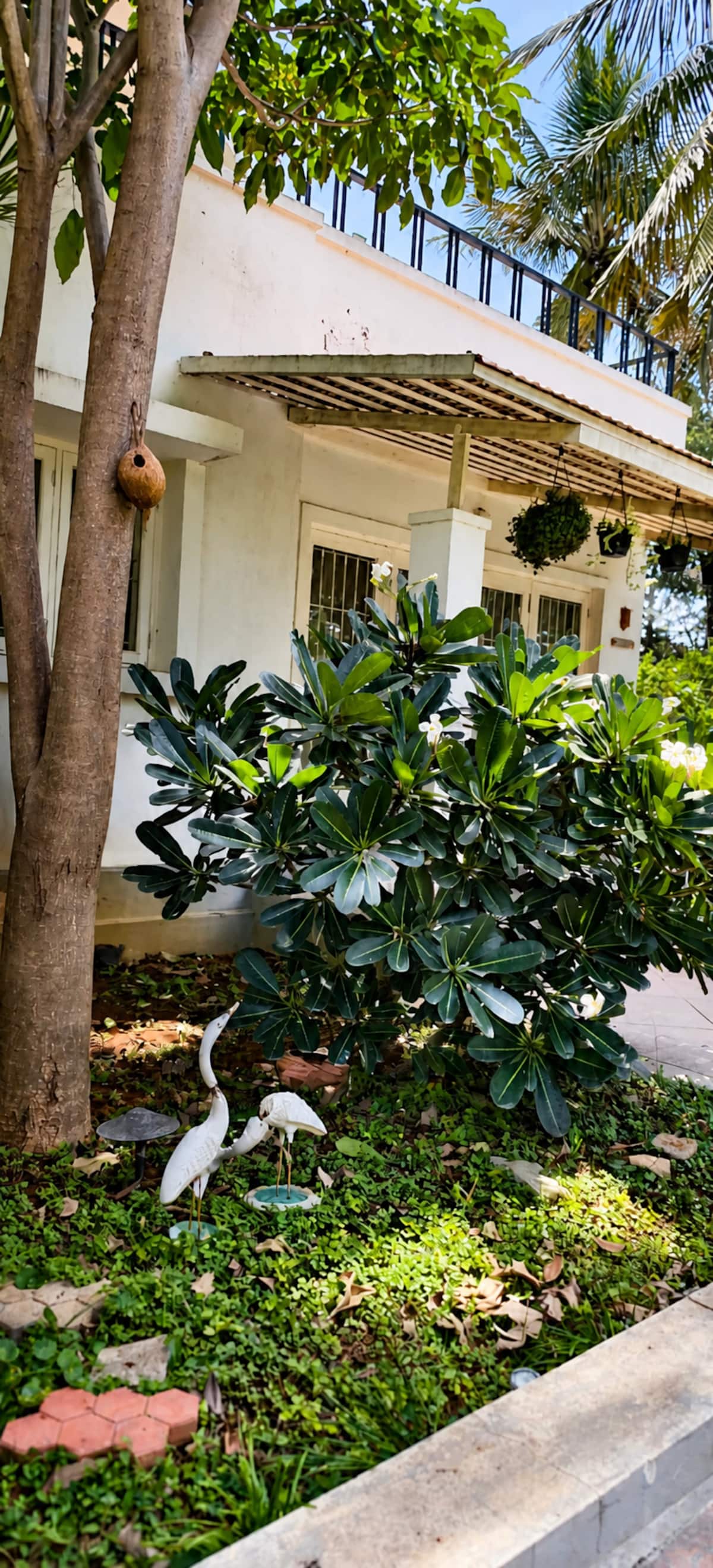 Exterior image 10