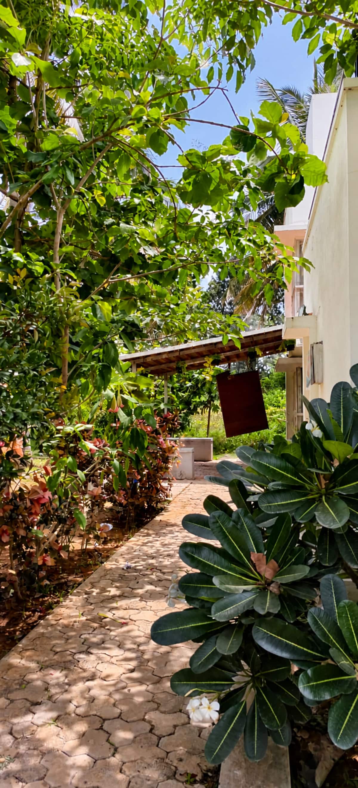 Exterior image 11