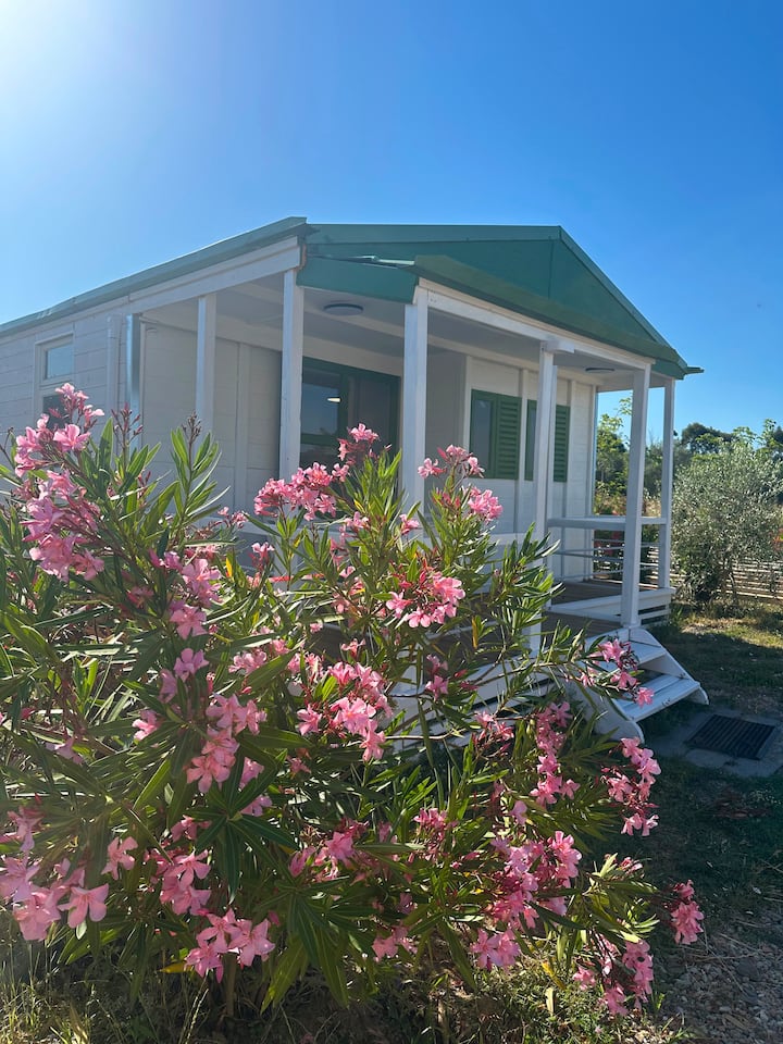 Casa Mobile Grande Nel Agricampeggio - Piombino