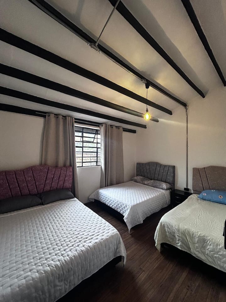 Habitación 1