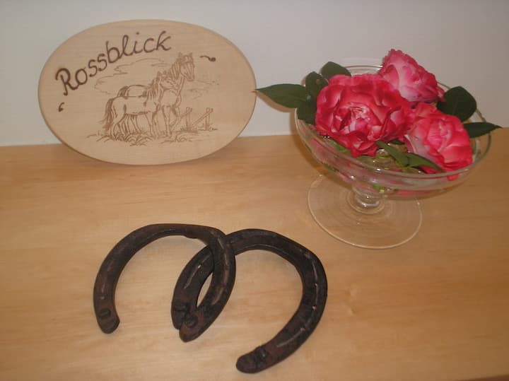 Ferienwohnung Rossblick, 60qm - Seelbach