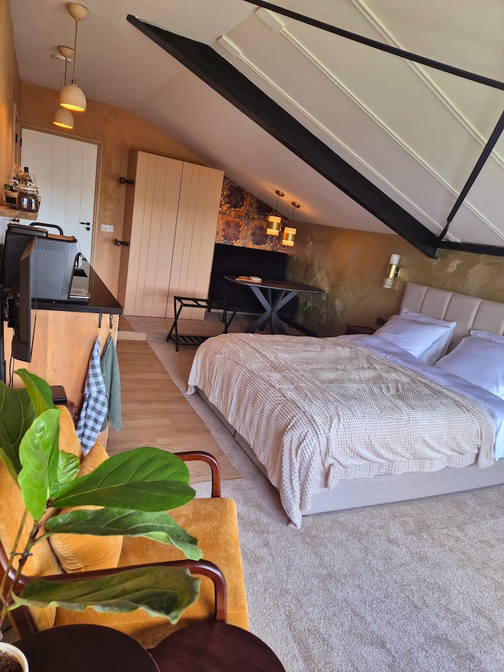 Maison Colombe, Twee Stijlvolle Studio's Met Airco - Breezand