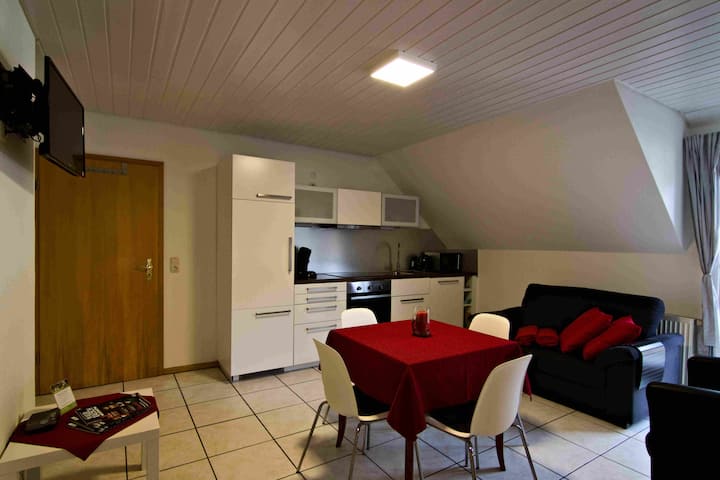 Ferienwohnung Sternenhimmel, 58qm - Seelbach
