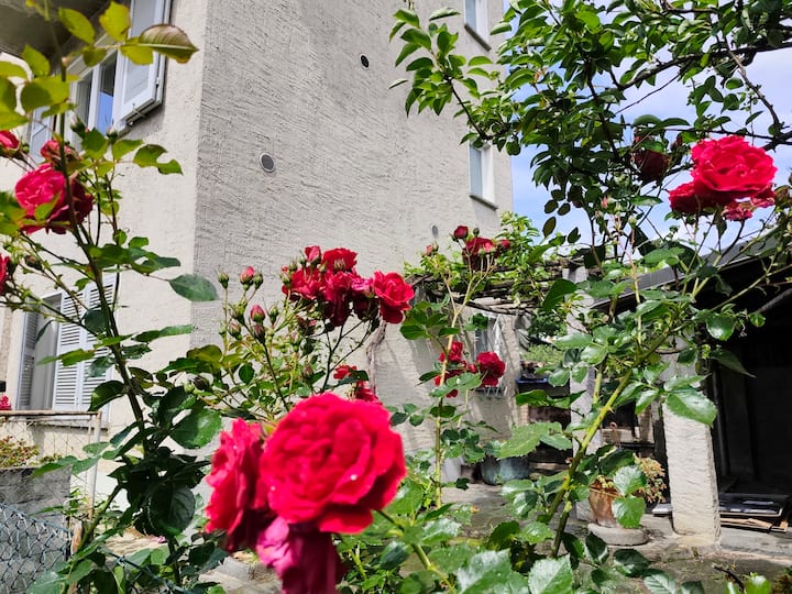 Appartamento 2 Locali Casa Marino - Losone