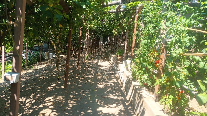 Casa Emi - Amalfi