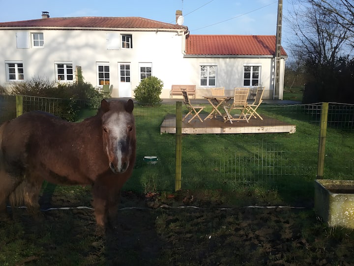 Gîte De Bournezeau - Sainte-Hermine