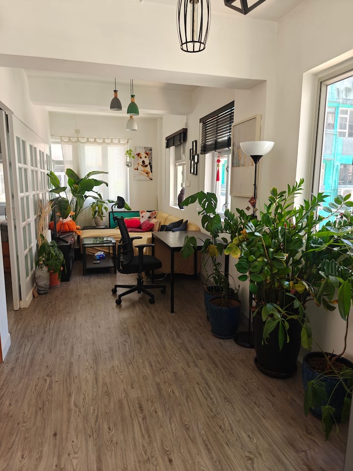 Very Bright Apartment In Sheung Wan, Hong Kong - Hong Kong