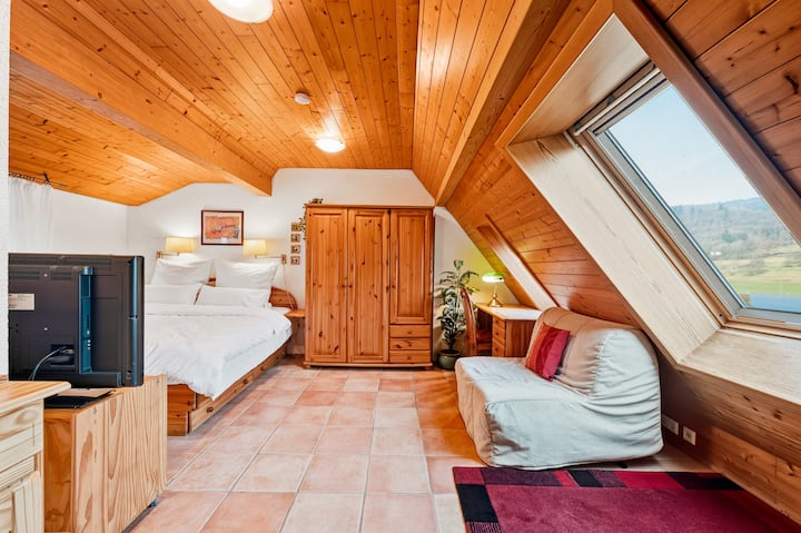 Romantisches Loft Mit Neckarblick Unterm Dach - Heidelberg
