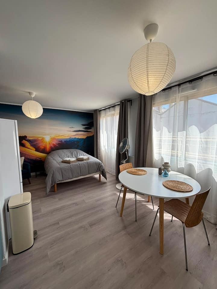 Le Skieur  Studio Cosy Au Coeur De Grenoble - Grenoble
