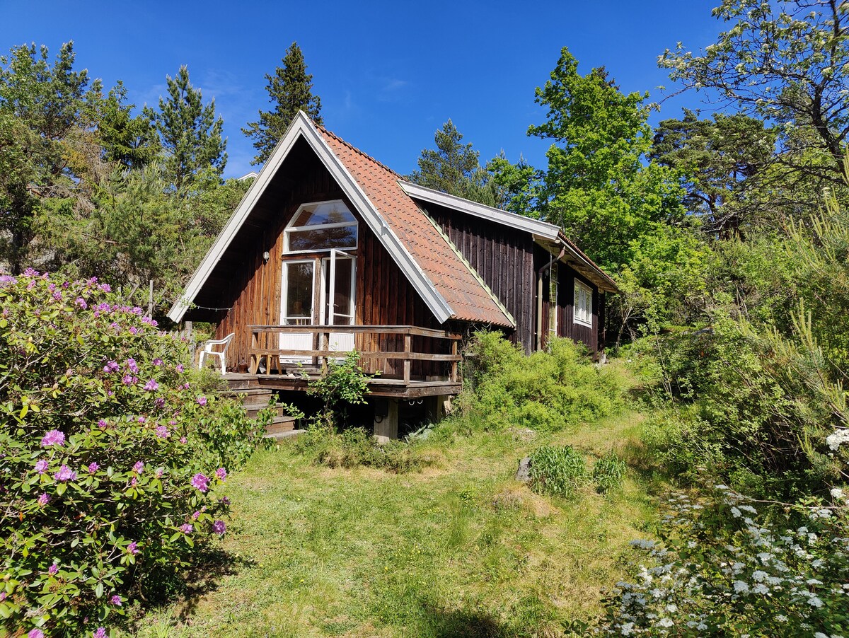 Eco-house in the woods near swimming in the sea. Quiet atmosphere.
