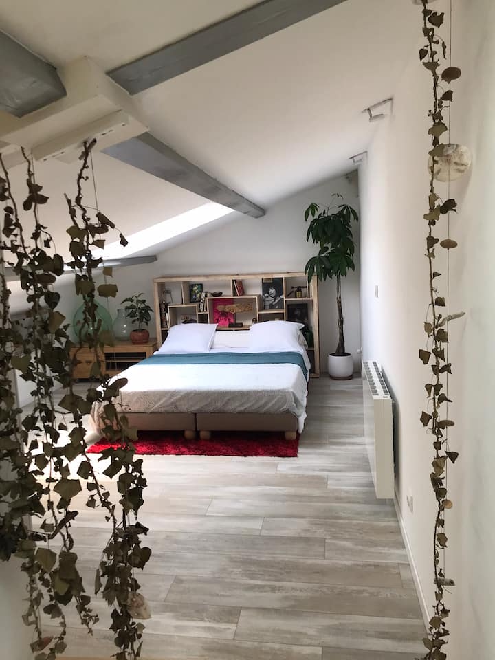 Maison De Village - Montauroux - Montauroux