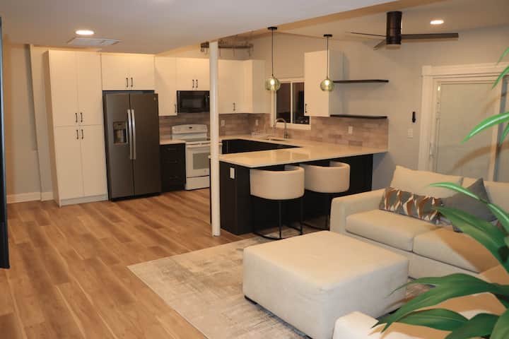 Effendis Luxury Basement Retreat - Roswell, GA