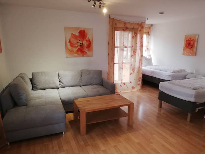 1 Zimmer Appartement Nr. 17 Im 1 Og Mit 2 Balkone - Bad Krozingen