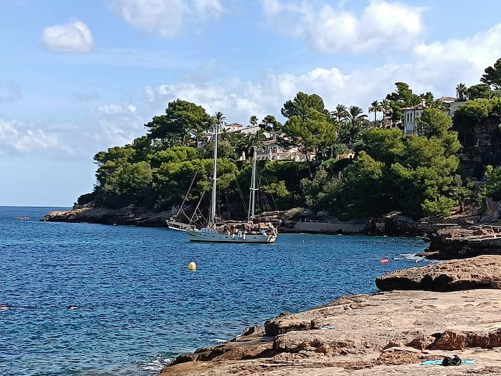 Bonaire - Alcudia