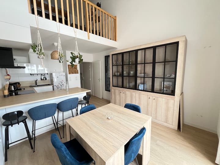 Maison Des Enfants | Appartement Duplex | Métro - Lille