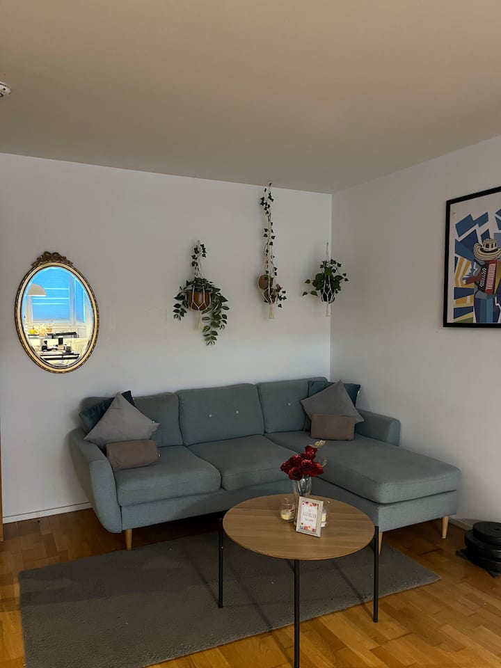 Sunny Flat| Near Palace, Olympic Park, City Center - Múnich