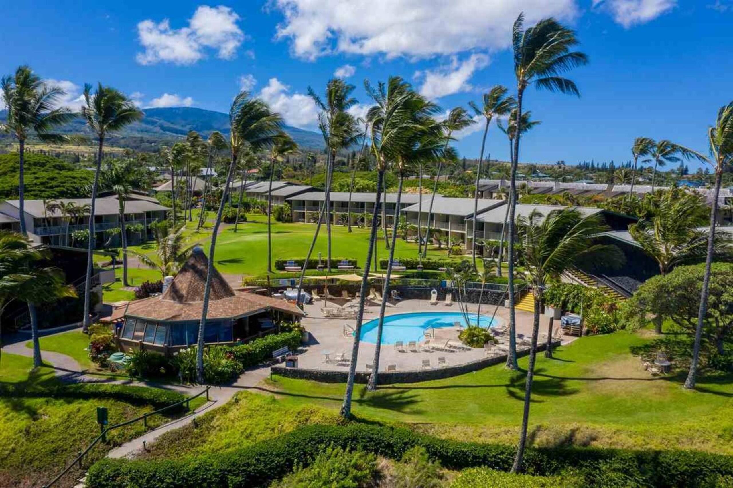 Ocean View Oasis at Napili, West Maui - Photo 16