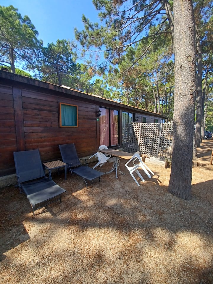 Bungalow 2 Personnes (Numéro 22) - Calvi