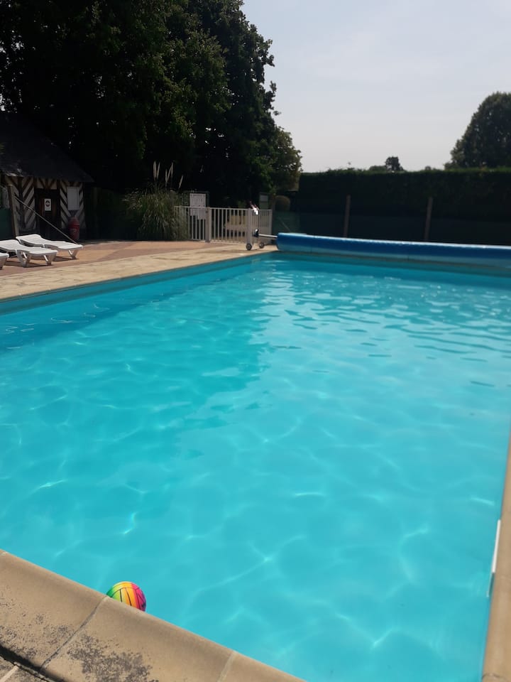 Chalet Idéal Avec Piscine Et Tennis à Blonville - Normandy