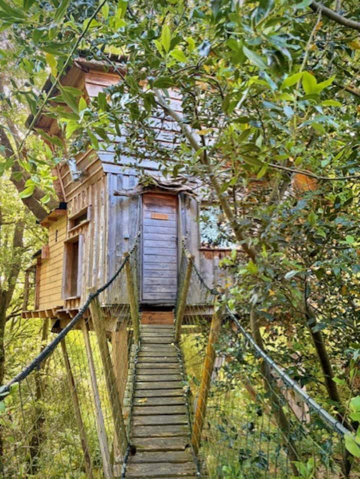 Cabane Fuscia Perchée Avec Jacuzzi Privatif - Bayonne