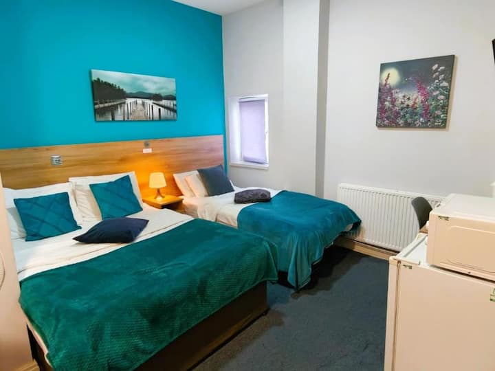 Family Room En-suite Near Ilford Station - Ilford