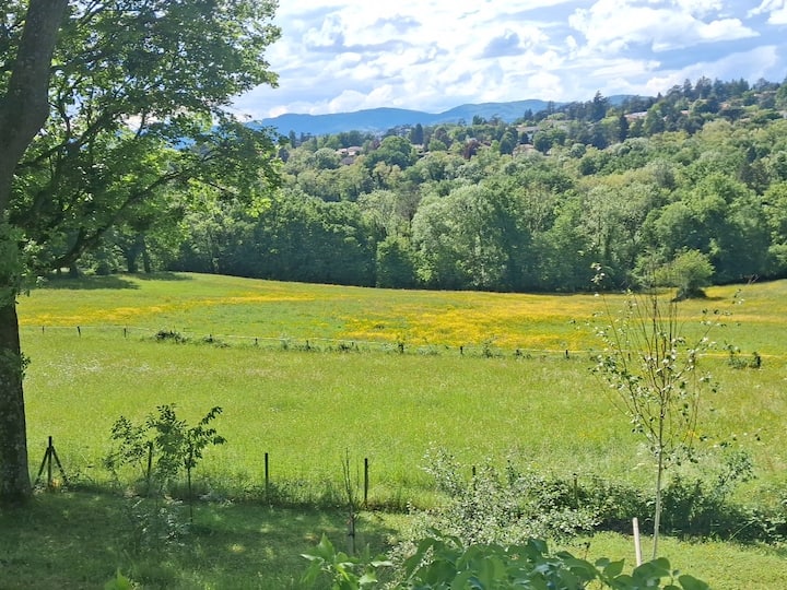 Espace Nature Calme Et Sérénité Emplacement - Lyon