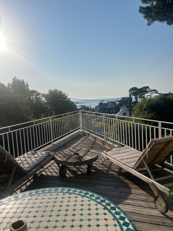 Charmant Appartement Grande Terrasse Vue Mer - Plougasnou