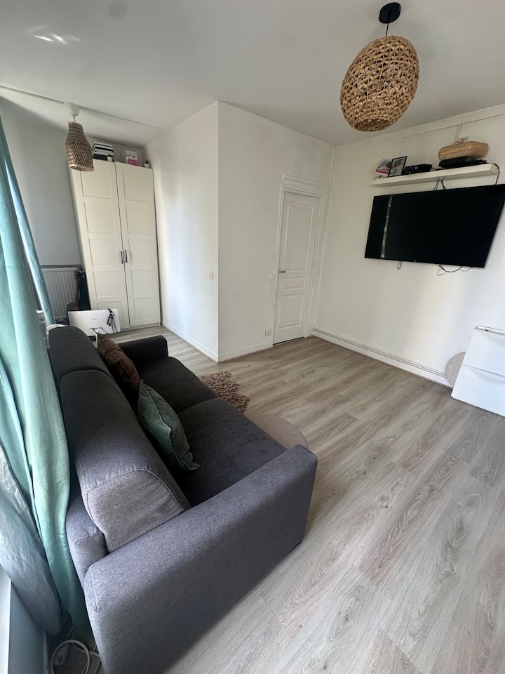 Appartement Maisonnais Calme - Maisons-Alfort