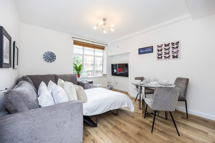 Cosy 1 Bedroom Apartment — Rotherhithe · Sleeps 3 — furnished apartment in London, Greater London, sleeps 3