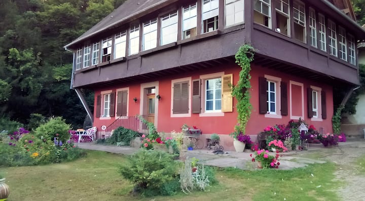 Appartement Cadichon - Munster, France