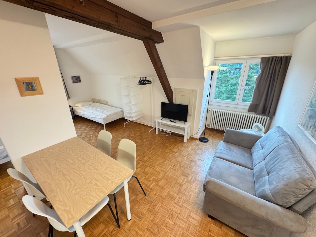 2.5 Zimmer möbliert · Zürich, Zürich