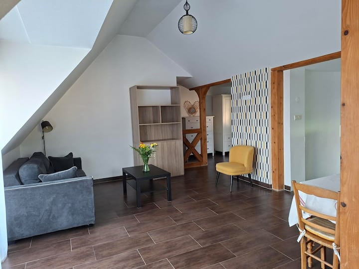 Appartement 50 M² Colmar - Colmar