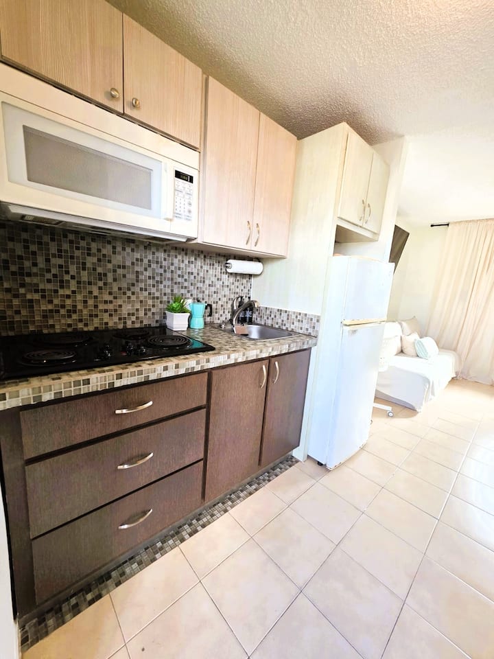 Petite & Perfect -Near Beach/airport/free Parking - San Juan