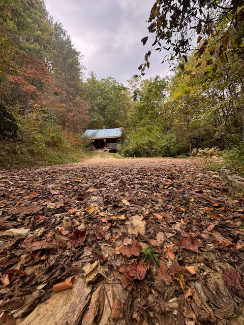 Remote Mountain Cabin in the Woods