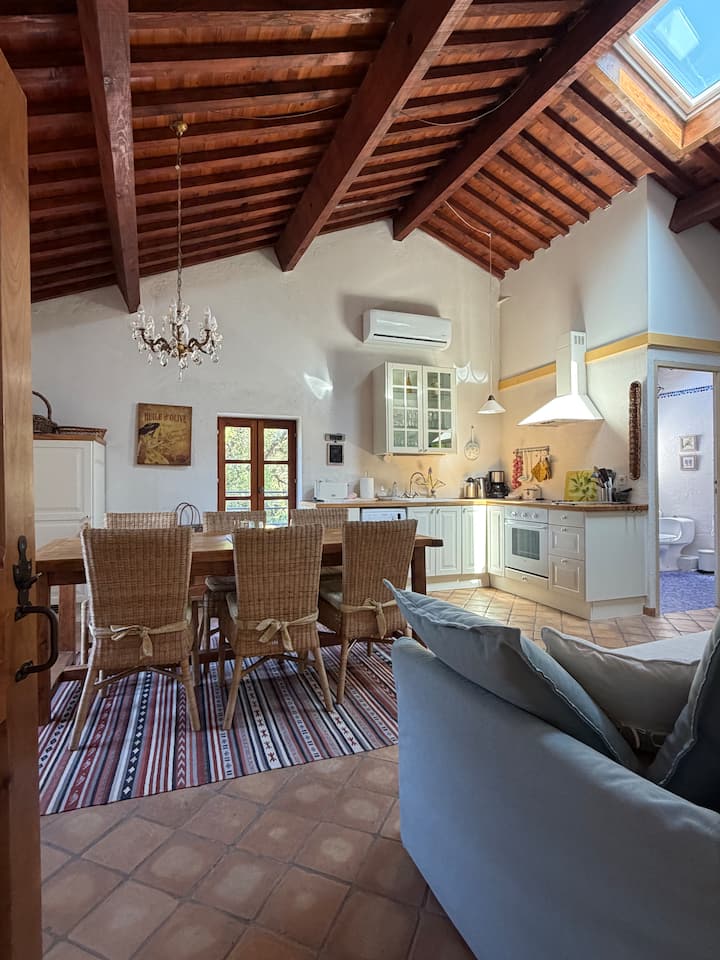 Gîte Oliviers Pour 2 à 6 P Bastide Historique. - Pont-Saint-Esprit