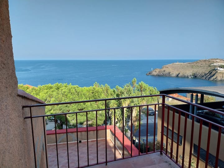 Maison Face à La Mer Sur Terrain900 M2 - Cerbère