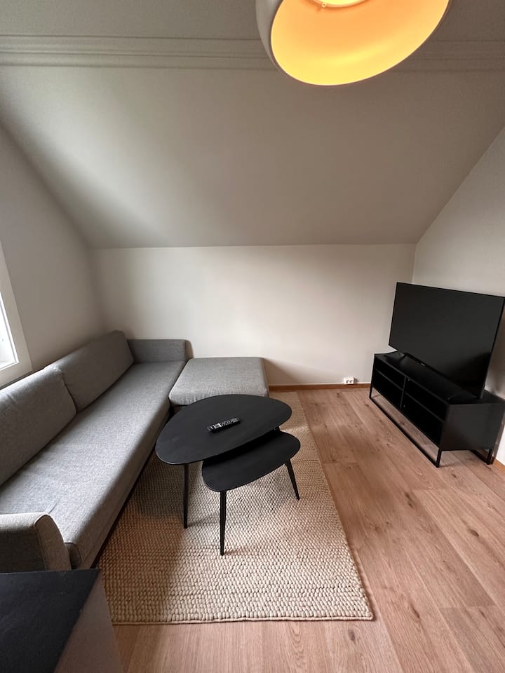 Lys 4 Roms Leilighet - Stavanger