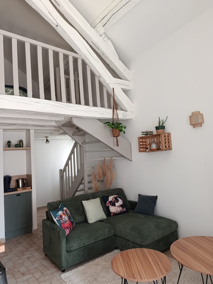Joli Cocon Rénové En Bord De Loire - Blois