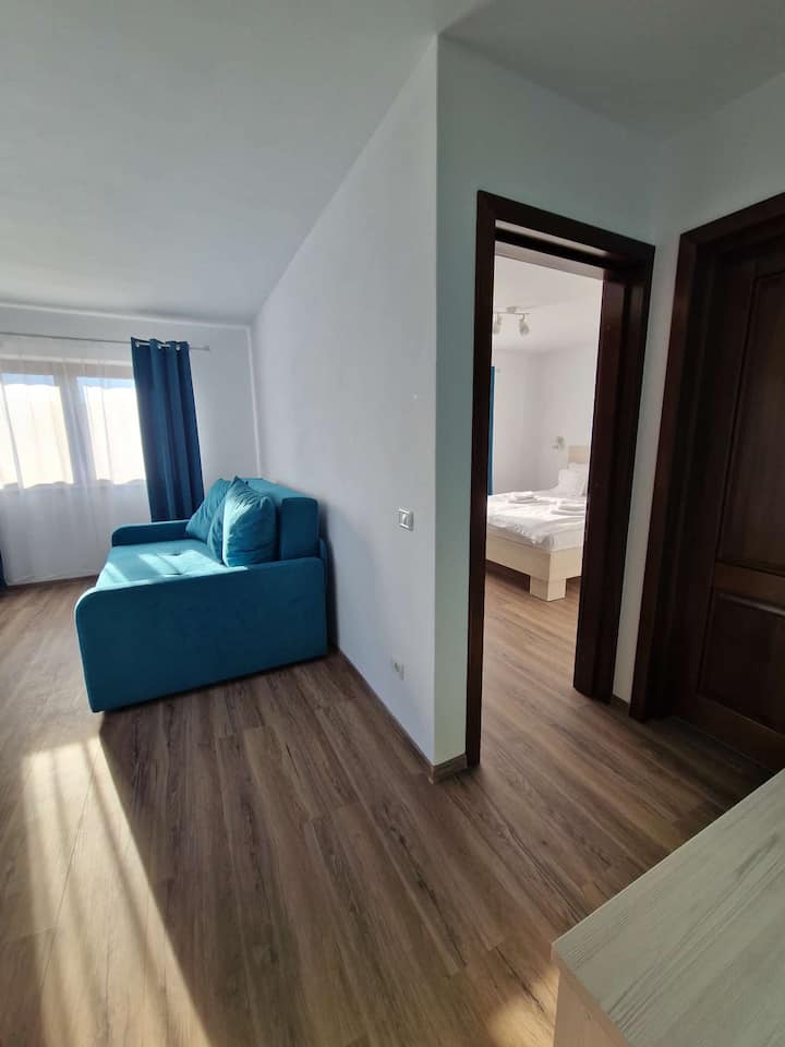Chambre et salon spacieux avec canapé-lit.