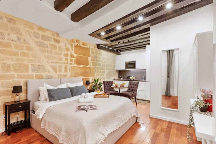 Cozy Studio In The Heart Of Paris - Louvre - Parijs