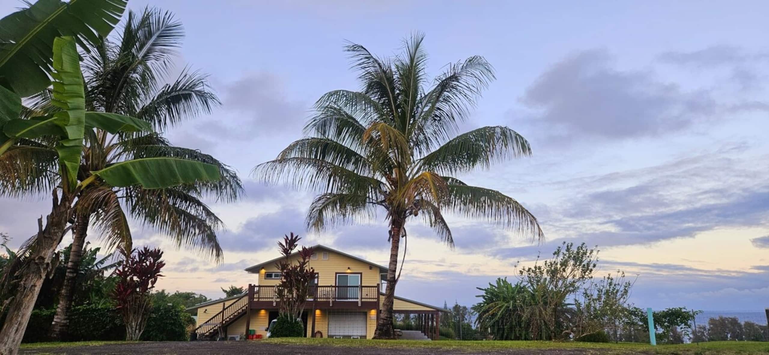 Deluxe Oceanview Sunrise Suite - Low EMF- Ethernet - Photo 18