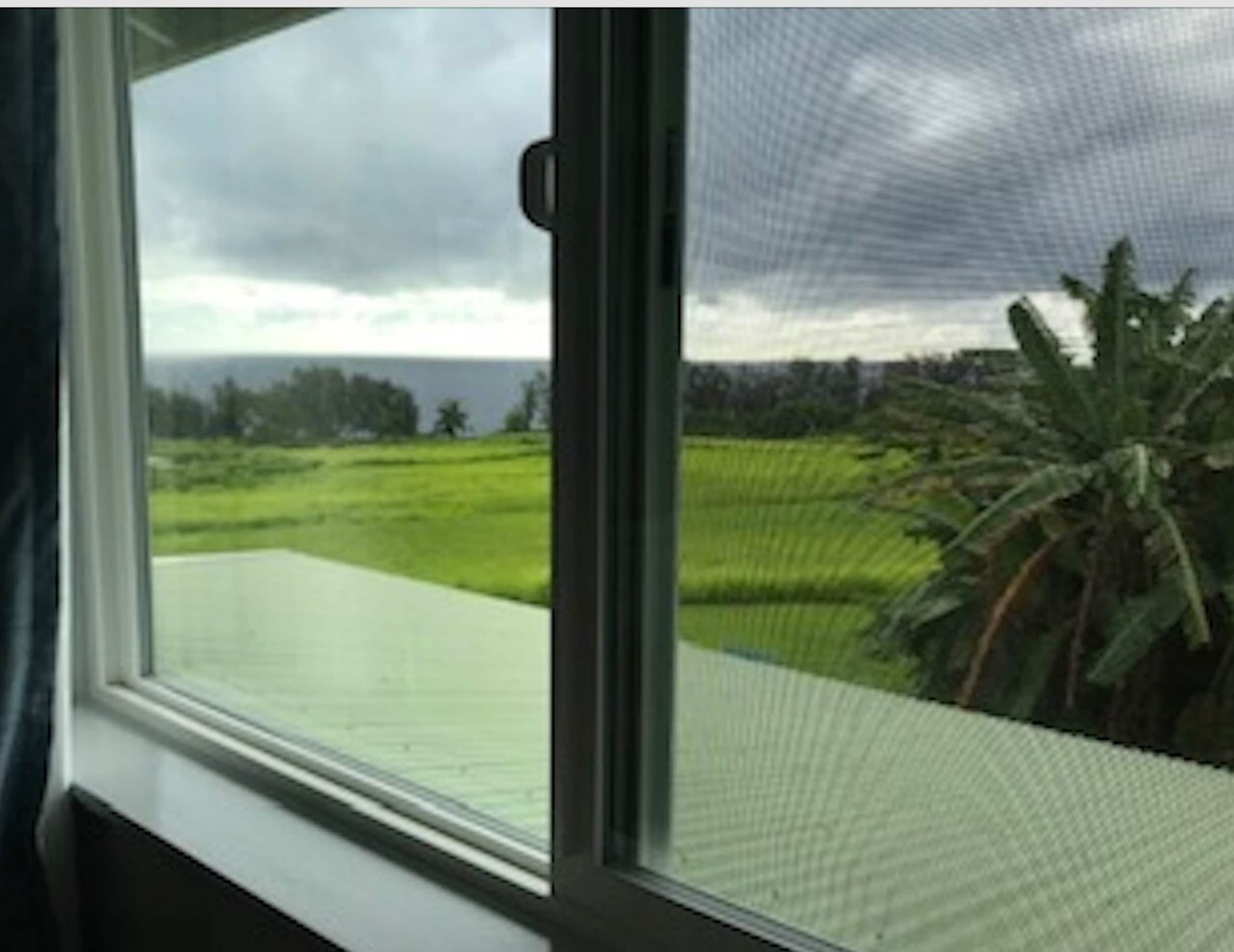 Deluxe Oceanview Sunrise Suite - Low EMF- Ethernet - Photo 7