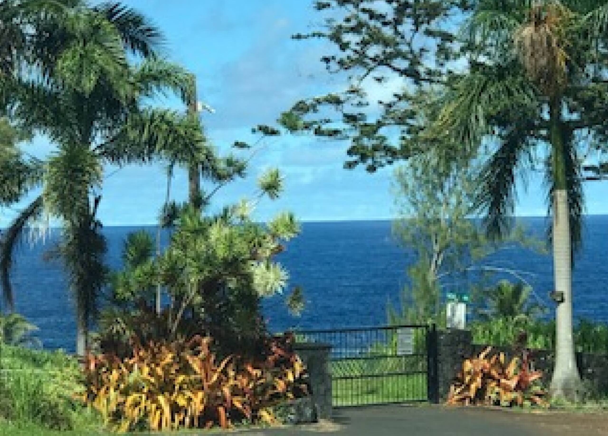 Deluxe Oceanview Sunrise Suite - Low EMF- Ethernet - Photo 29