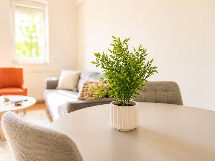 Cozy Apartment in the City Centre - dhoma ndenjeje